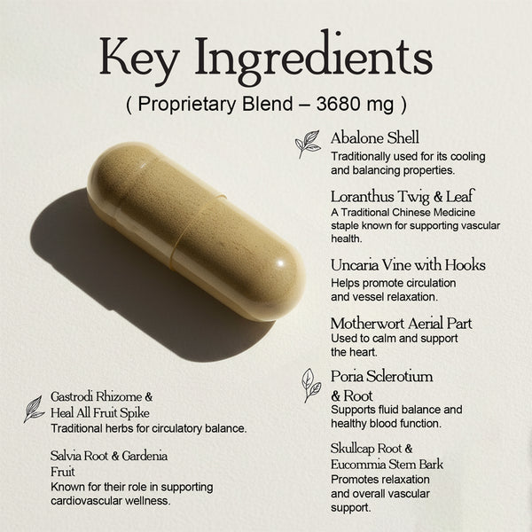 Blood Pressure Support